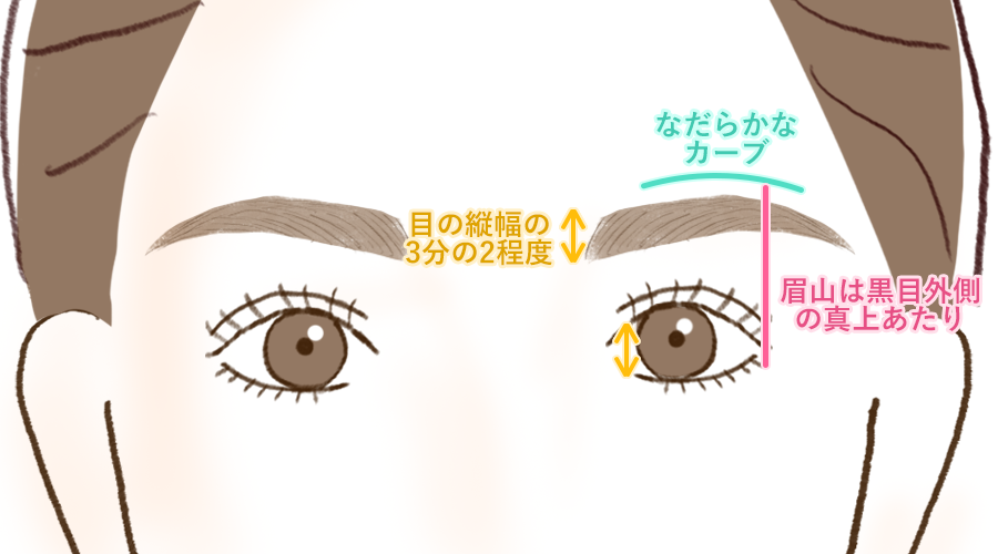 アーチ眉の整え方・描き方