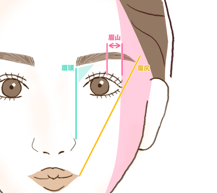 眉の形の考え方